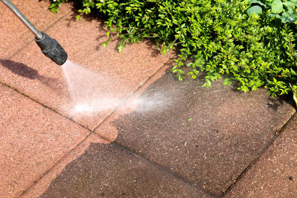 Best Exterior Home Cleaning  in Okemos, MI